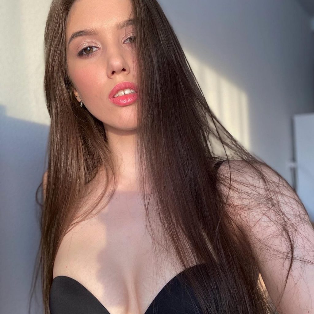 Модель Габби